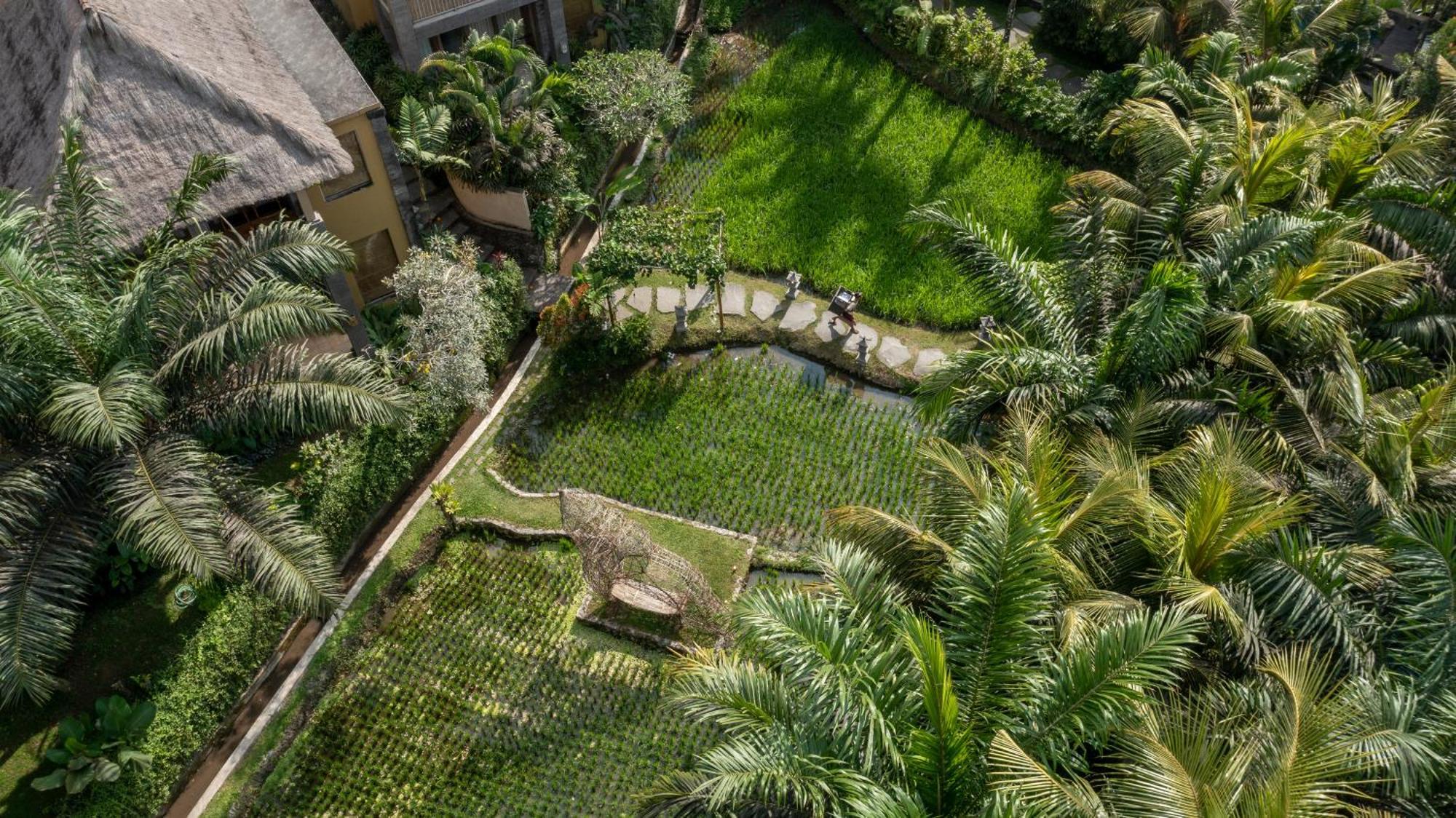 The Sankara Resort By Pramana Ubud Exterior foto